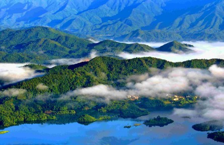 生物多样性监测  biodiversity monitoring