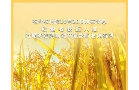 农业农村部：秋粮增产已成定局