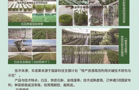 功能性植物种苗工厂化组培快繁、生态立体种植及高值产品开发