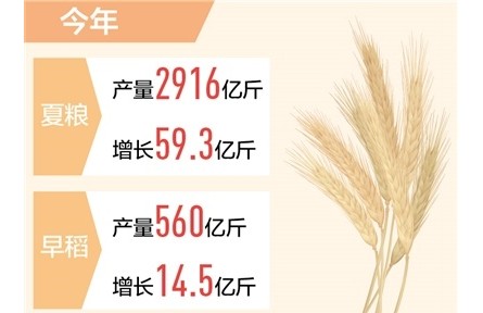 全国秋收进度已超八成 粮食生产将迎十八连丰