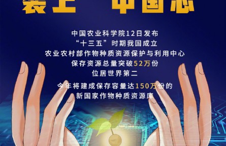 种业装上“中国芯” 我国保存种质资源总量突破52万份位居世界第二