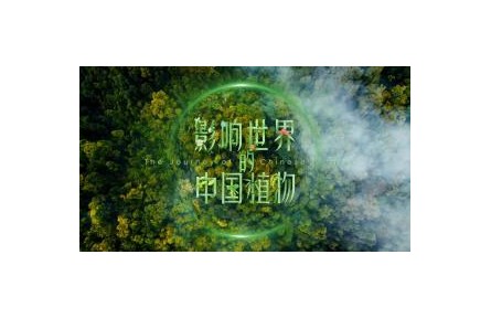 影响世界的中国植物 第1集 植物天堂