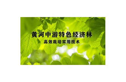 1 沙棘资源培育和利用技术—《黄河中游特色经济林高效栽培实用技术》