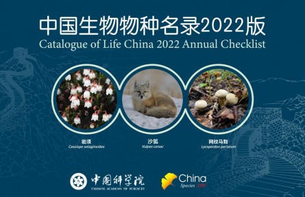 《中国生物物种名录》2022版发布 较2021版新增10343个物种及种下单元