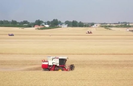 【在希望的田野上·三夏时节】夏收加快推进 高效农机力促提质增效