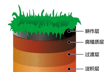 科普 | 黑土地为什么是黑色的？