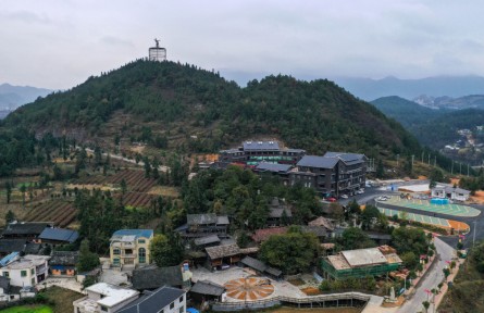 二十大代表在基层 | 余留芬：播撒“致富”种子 同享“共富”果实