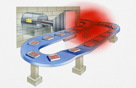 科技名词 | 辐照食品  irradiated food