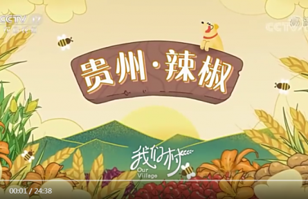 《我们村》第3集：贵州 · 辣椒 / 河南 · 小麦