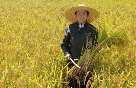 全国三八红旗手标兵陈雨佳：争做兴粮节粮行动派 当好乡村振兴新农人