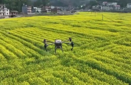 春耕备耕：农资保供跟得上 供应量足价稳