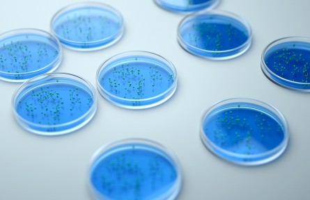 科技名词 | 微生物 microorganism