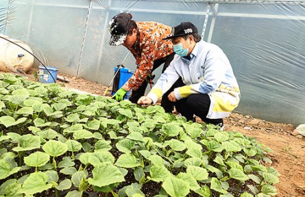 白静华：芳华献给田野 技术改变农业