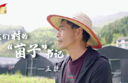 理响巴蜀 | 我们村的“菌子”书记