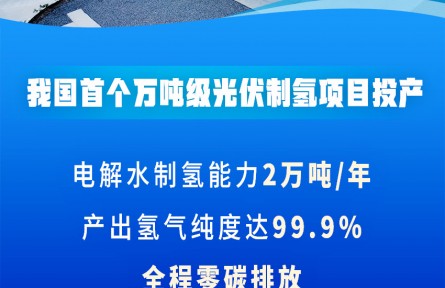 我国首个万吨级光伏制氢项目投产