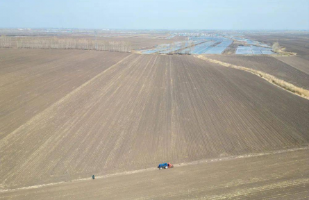 高标准农田 high-standard farmland