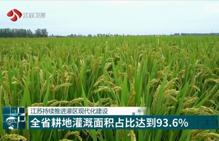 江苏持续推进灌区现代化建设 全省耕地灌溉面积占比达到93.6%