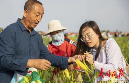 山西大同黄花产业入选知识产权强国建设典型案例