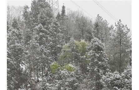 未来两天将进入本轮雨雪过程最强时段 多地多部门合力应对低温雨雪冰冻天气