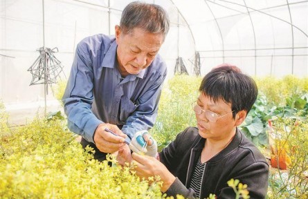 福建厦门种子种苗企业严选优质种苗，迎接春耕春播