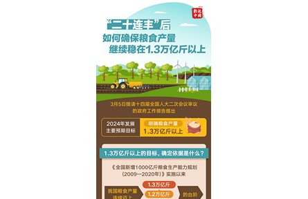 “二十连丰”后，如何确保粮食产量继续稳在1.3万亿斤以上