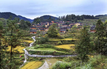 绿水青山解乡愁 美丽经济富百姓