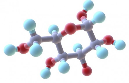 科技名词|单糖 monosaccharide