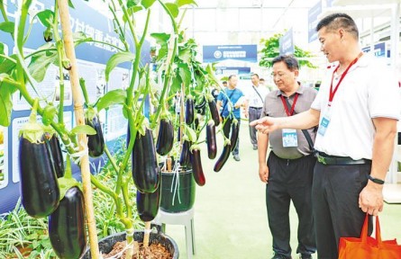 湖北：2024武汉种业博览会开幕 3000多个“农业芯片”集中亮相