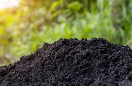 科技名词|黑土 phaeozem；black soil