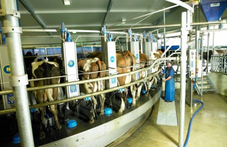 新西兰乳制品企业持续看好中国市场