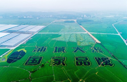 福建浦城：科技赋能，大米产业迈进数字化时代