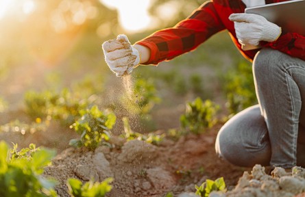 科技名词|土壤肥力 soil fertility