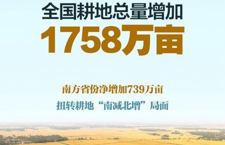 我国耕地3年净增1758万亩