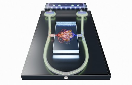 科技名词|介电电泳 dielectrophoresis；DEP