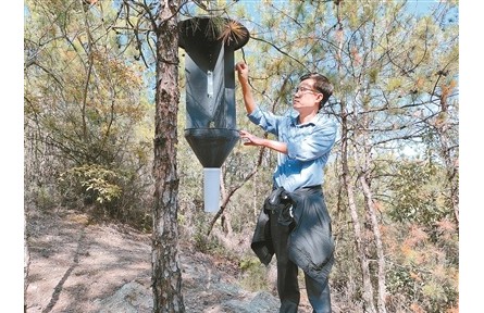 樊建庭：用科技筑牢重大林业有害生物防线