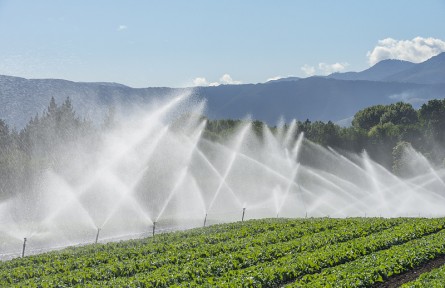 科技名词|灌溉定额 irrigation quota