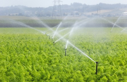 科技名词|灌溉水源 water source for irrigation