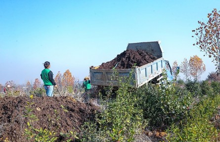 科技名词|堆肥 compost