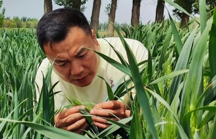 陈江鲁：扎根田间地头 助农增产增收