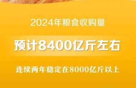 2024年粮食收购量预计8400亿斤左右