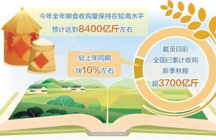 全年粮食收购预计达8400亿斤左右——做好粮食流通大文章