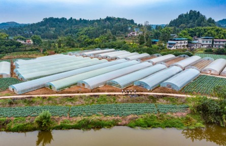 结对蹲点 与榜样同行|何波：干群一致，没有办不好的事