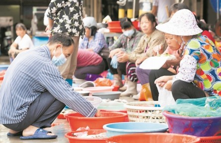 福建诏安：管好用活农村集体“三资”