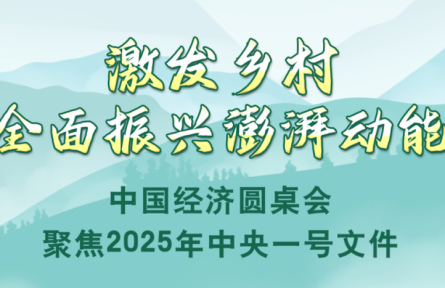 激发乡村全面振兴澎湃动能——中国经济圆桌会聚焦2025年中央一号文件