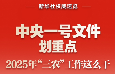 中央一号文件划重点，2025年“三农”工作这么干