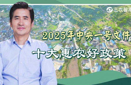 2025年中央一号文件解读：十大惠农好政策