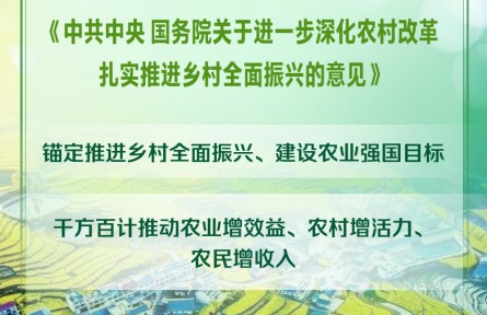 2025年中央一号文件发布 提出扎实推进乡村全面振兴