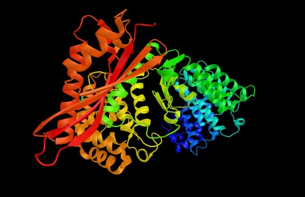 科技名词|胶原酶 collagenase